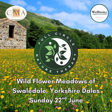 Load image into Gallery viewer, The Wild Flower Meadows of Swaledale, Yorkshire Dales. 22nd June 2025