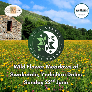 The Wild Flower Meadows of Swaledale, Yorkshire Dales. 22nd June 2025