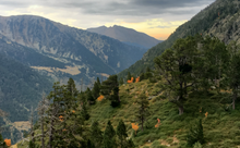 Load image into Gallery viewer, Andorra Pyrenees Adventure - 7 Days