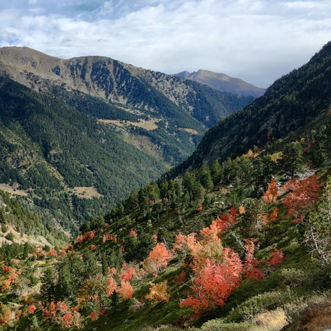 Andorran Pyrenees Adventure - Arinsal Week